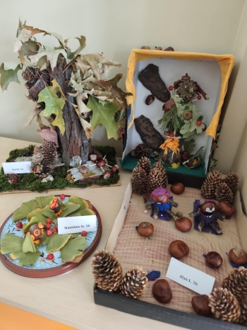 95463a50-8966-4cc5-95af-6a9121c2f879