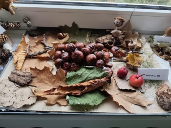 d6e814f3-4bed-4318-9c9c-165d3ee1174f