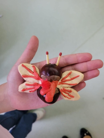 2ba41446-242b-4b0c-98db-fe2c476568ba