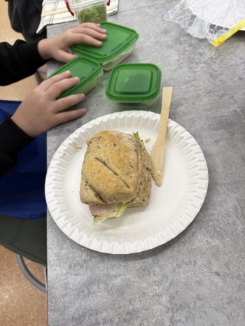 586873053_891153066594459_6409609372007351047_n