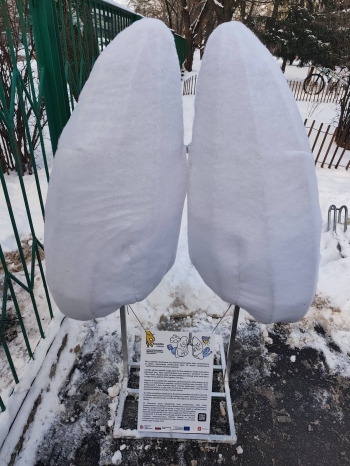 619994783_933062995736799_8568323873471558224_n