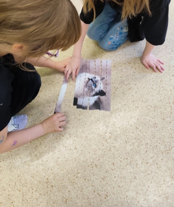 9f5f5343-f009-40f0-93e3-10009fb412ae