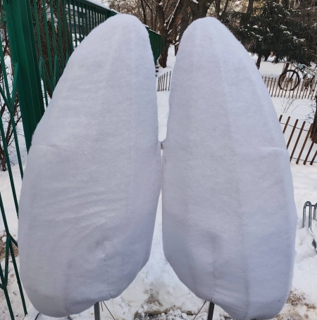 Program Republika S.P.O.K.O.